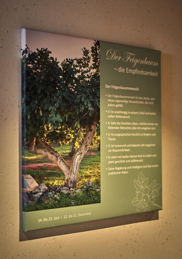 Zedernhof Gesundheits- & Wellnesshotel Stamsried Ngoại thất bức ảnh